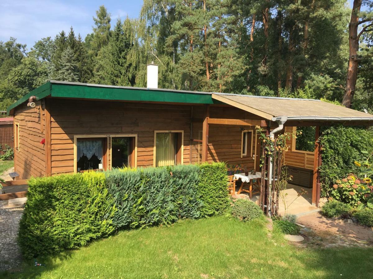 נוירופין Holzhaus Trollbluemchen Am Wald Und See מראה חיצוני תמונה