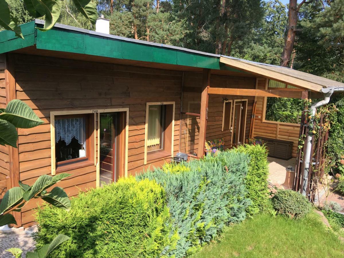 נוירופין Holzhaus Trollbluemchen Am Wald Und See מראה חיצוני תמונה